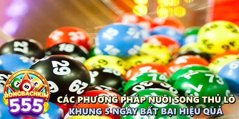 Cách Nuôi Song Thủ Lô Khung 5 Ngày Bất Bại Không Phải Ai Cũng Biết