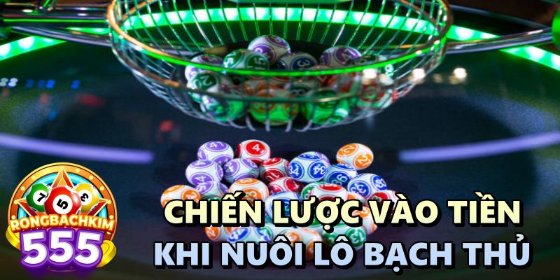 Nuôi Bạch Thủ Lô Khung 5 Ngày Bất Bại - Bắt Ngay Bộ Số Chuẩn