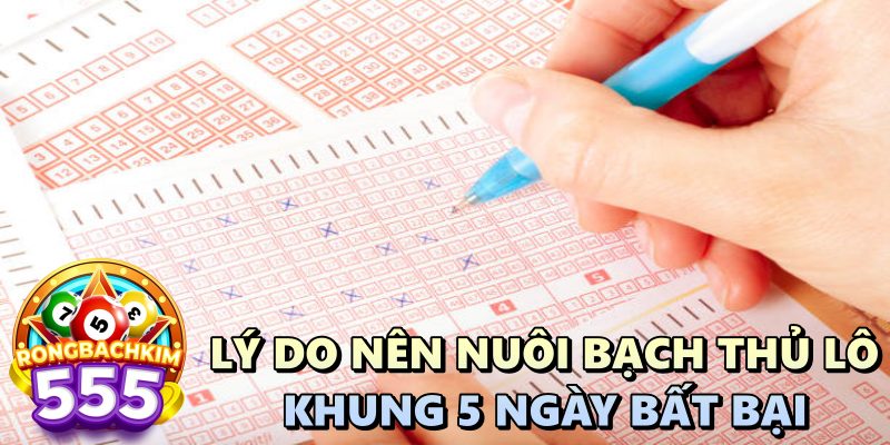 Nuôi Bạch Thủ Lô Khung 5 Ngày Bất Bại - Bắt Ngay Bộ Số Chuẩn