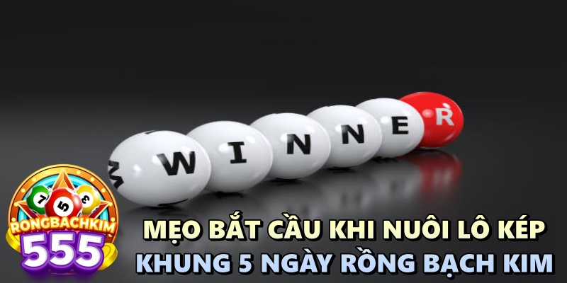 Nuôi Lô Kép Khung 5 Ngày Rồng Bạch Kim: Bí Kíp Chinh Phục Giới Lô Đề