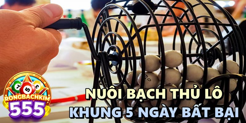 Nuôi Bạch Thủ Lô Khung 5 Ngày Bất Bại - Bắt Ngay Bộ Số Chuẩn