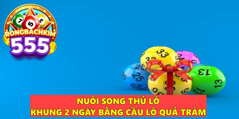 Nuôi Song Thủ Lô Khung 2 Ngày – Phương Pháp Soi Cầu Hiệu Quả