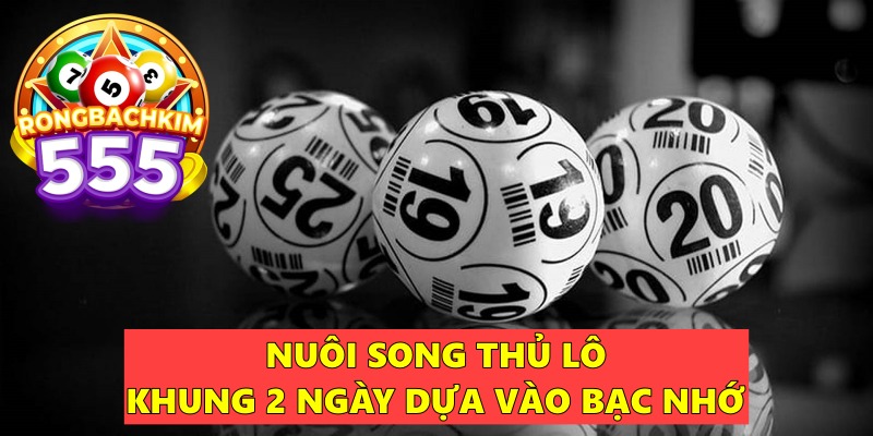 Nuôi Song Thủ Lô Khung 2 Ngày – Phương Pháp Soi Cầu Hiệu Quả