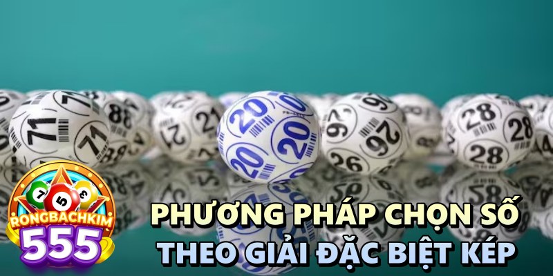 Bí Quyết Nuôi Song Thủ Lô Khung 3 Ngày Mang Lại Hiệu Quả Cao