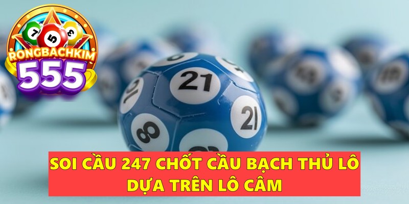 Soi Cầu 247 Chốt Cầu Bạch Thủ Lô – Bí Quyết Giúp Thắng Lớn