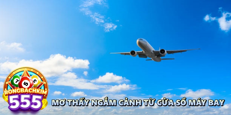 Ngủ Mơ Thấy Máy Bay Nên Đánh Số Mấy Giúp Bạn Phát Tài?