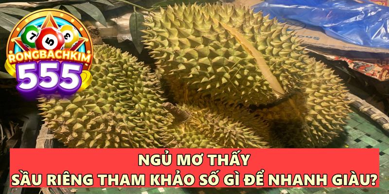 Ngủ Mơ Thấy Sầu Riêng Tham Khảo Số Gì Để Giàu To?